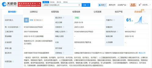 科大訊飛在合肥成立潮汐力科技公司，拓展信息系統集成服務新篇章